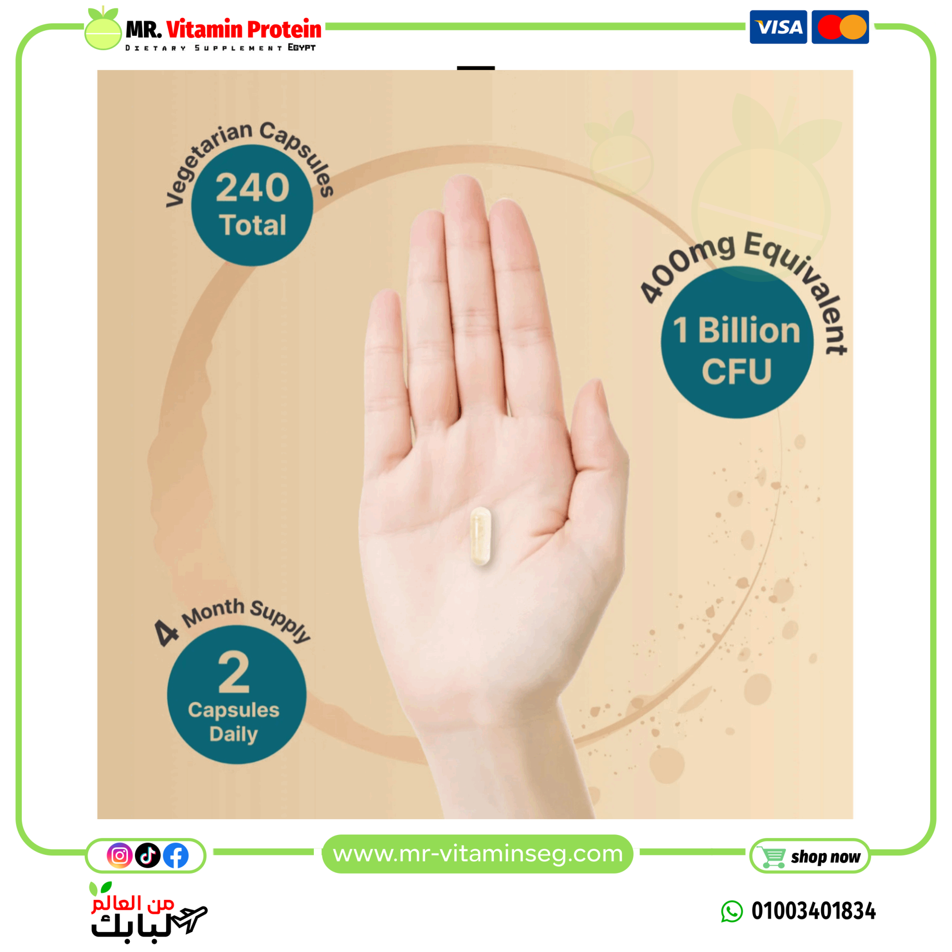 ناتشربيل، إنزيمات هضمية مع البروبيوتيك والبريبايوتيك، 240 كبسولة نباتية/Naturebell, Digestive Enzymes - الصورة 4