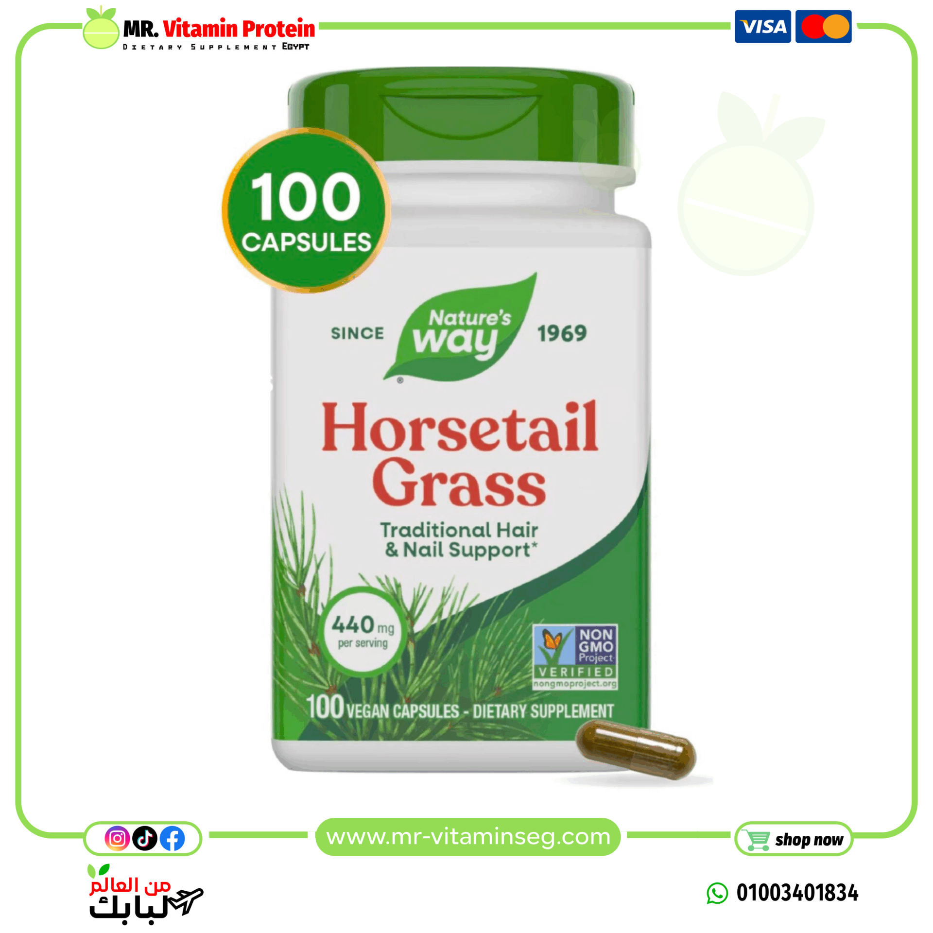 Nature's Way, Horsetail Grass, 440 mg / ناتشرز واي, عشبة ذيل الحصان، 440 ملجم، 100 كبسولة نباتية