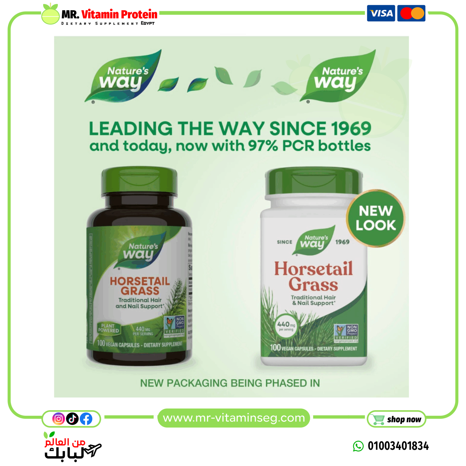 Nature's Way, Horsetail Grass, 440 mg / ناتشرز واي, عشبة ذيل الحصان، 440 ملجم، 100 كبسولة نباتية - الصورة 2