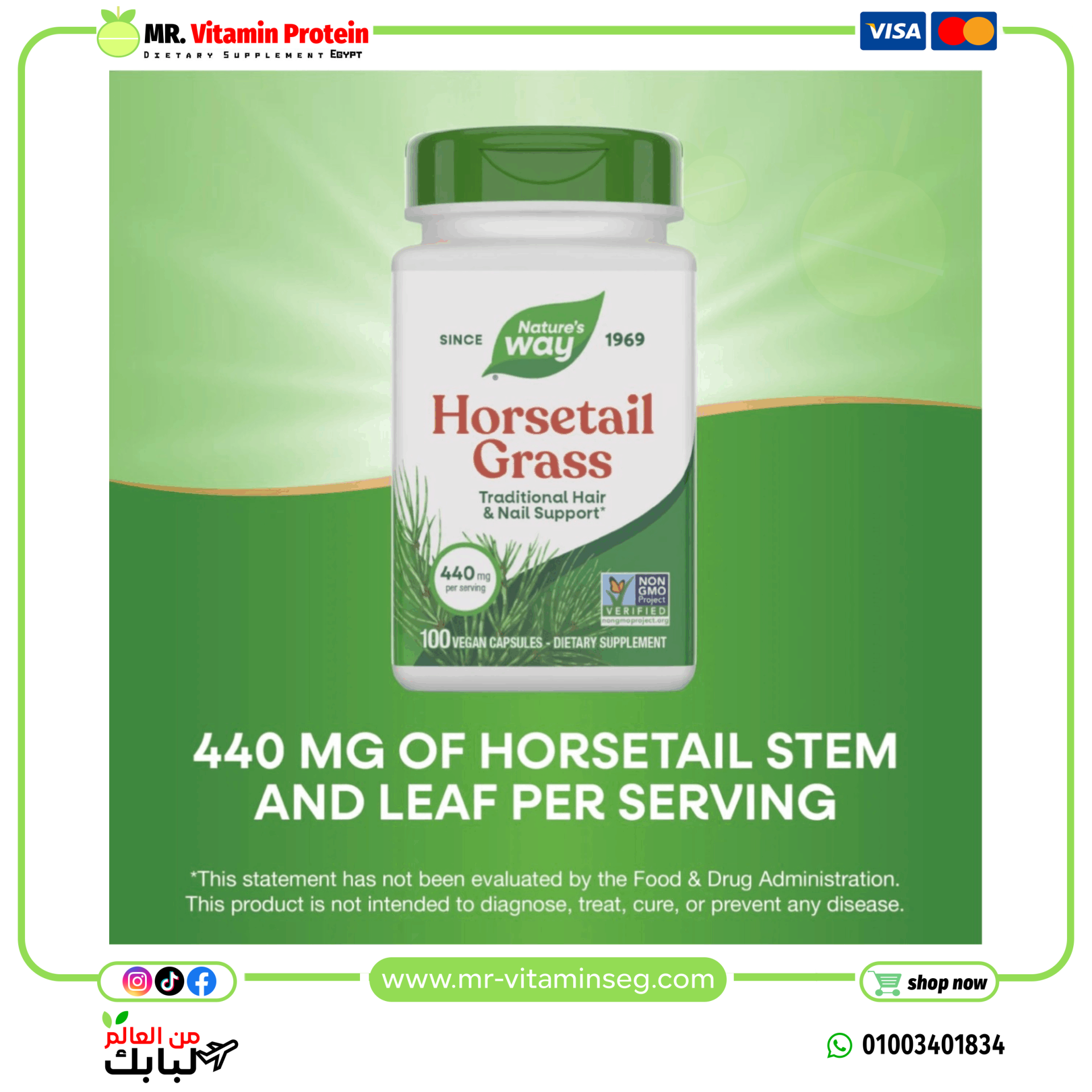 Nature's Way, Horsetail Grass, 440 mg / ناتشرز واي, عشبة ذيل الحصان، 440 ملجم، 100 كبسولة نباتية - الصورة 3