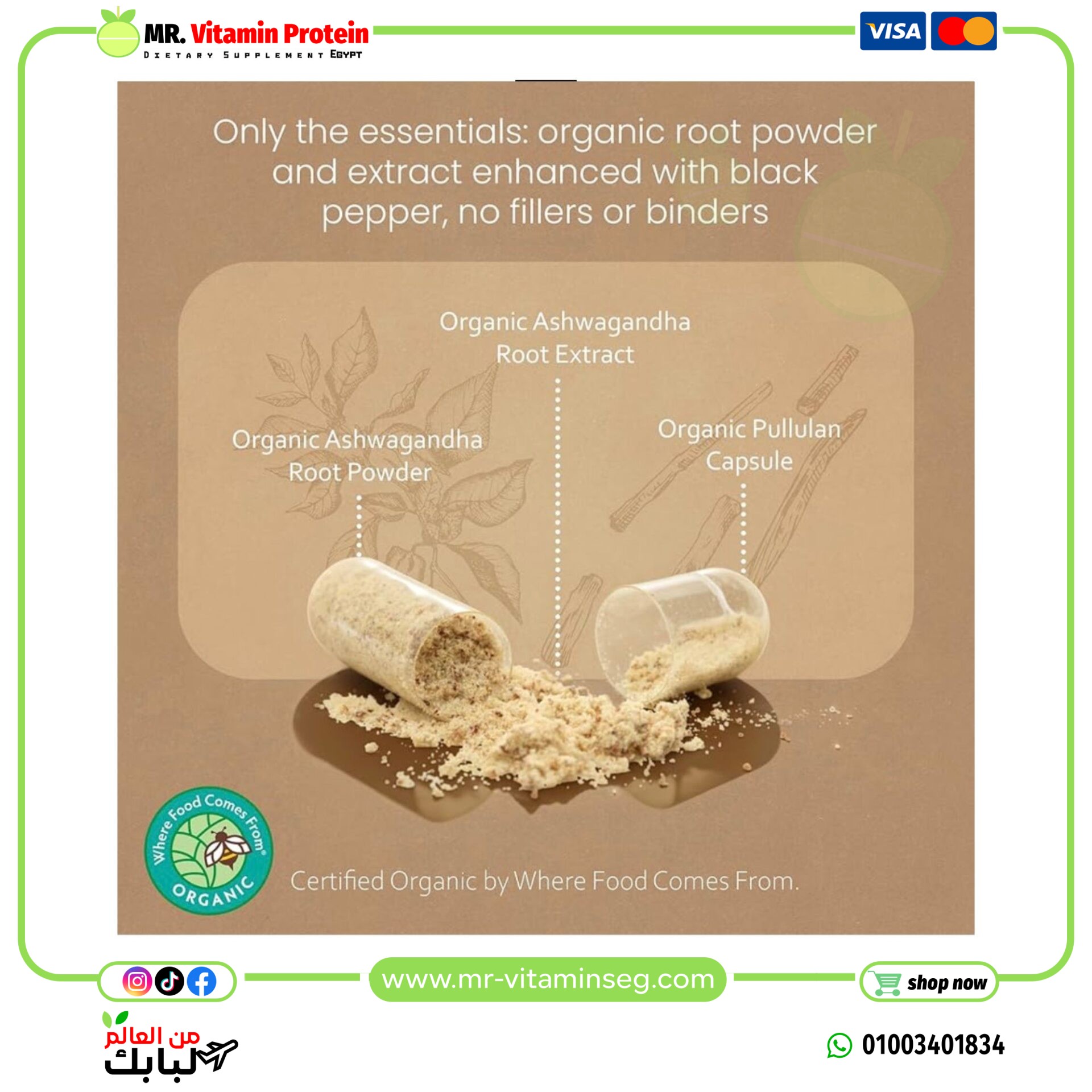 أشواجندا عضوية من NaturaLife Labs – 2100 مجم لكل حصة – مسحوق الجذر والمستخلص – 100 كبسولة - الصورة 4