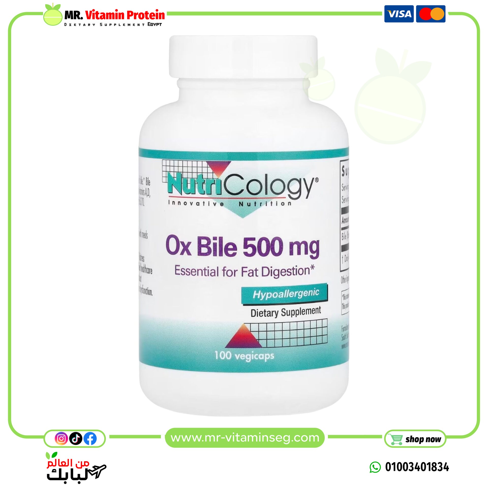Nutricology, Ox Bile, 500 mg, 100 Vegicaps