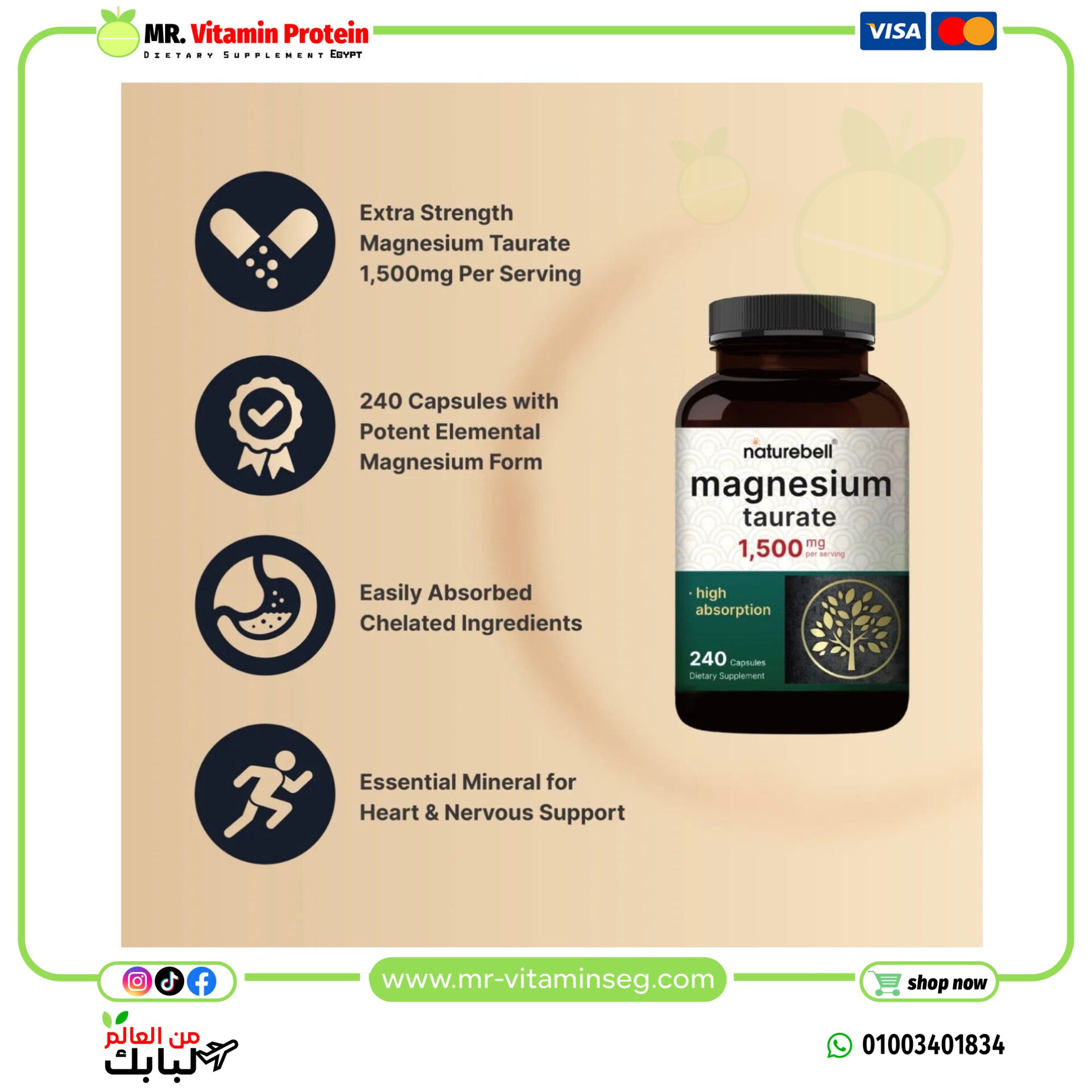 NatureBell Magnesium Taurate 1,500mg, 240 Capsules | Chelated for High Absorption | Non-GMO, Gluten-Free - Image 4