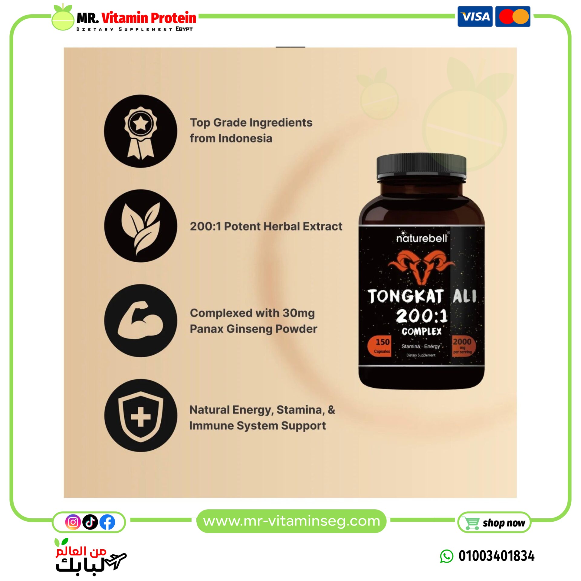 Naturebell, Tongkat Ali 200:1 (Longjack) / ناتشربيل تونغكات علي 200:1 – 150 كبسولة - الصورة 3