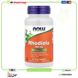 NOW Foods, Rhodiola, 500 mg / ناو فودز‏, الجذر الذهبي ( روديولا روزيا)، 500 ملجم، 60 كبسولة نباتية