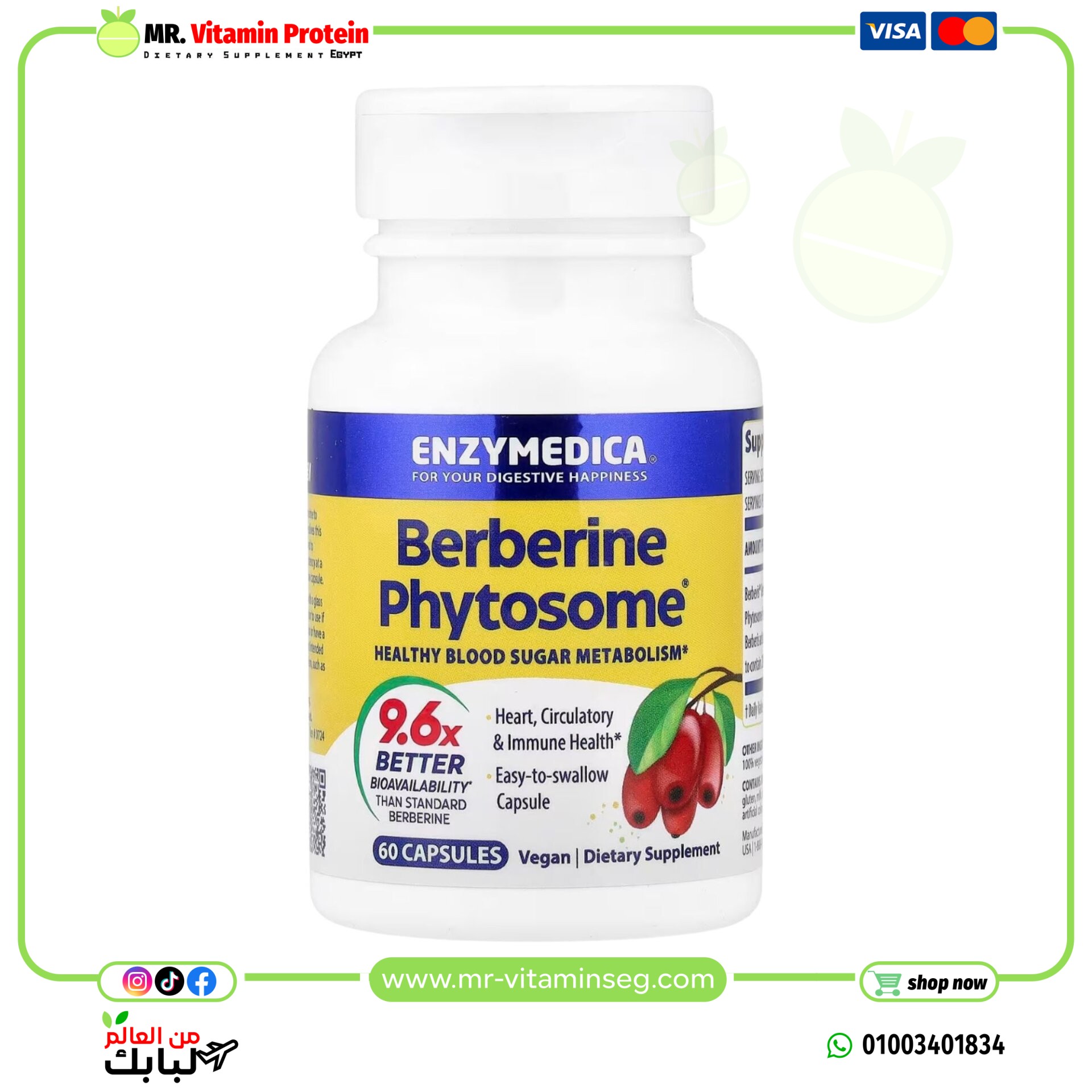 إنزيميديكا, فيتوسوم البربرين، 60 كبسولة / Enzymedica, Berberine Phytosome, 60 Capsules - الصورة 3