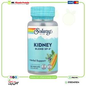Solaray, Kidney Blend SP-6, 100 VegCaps