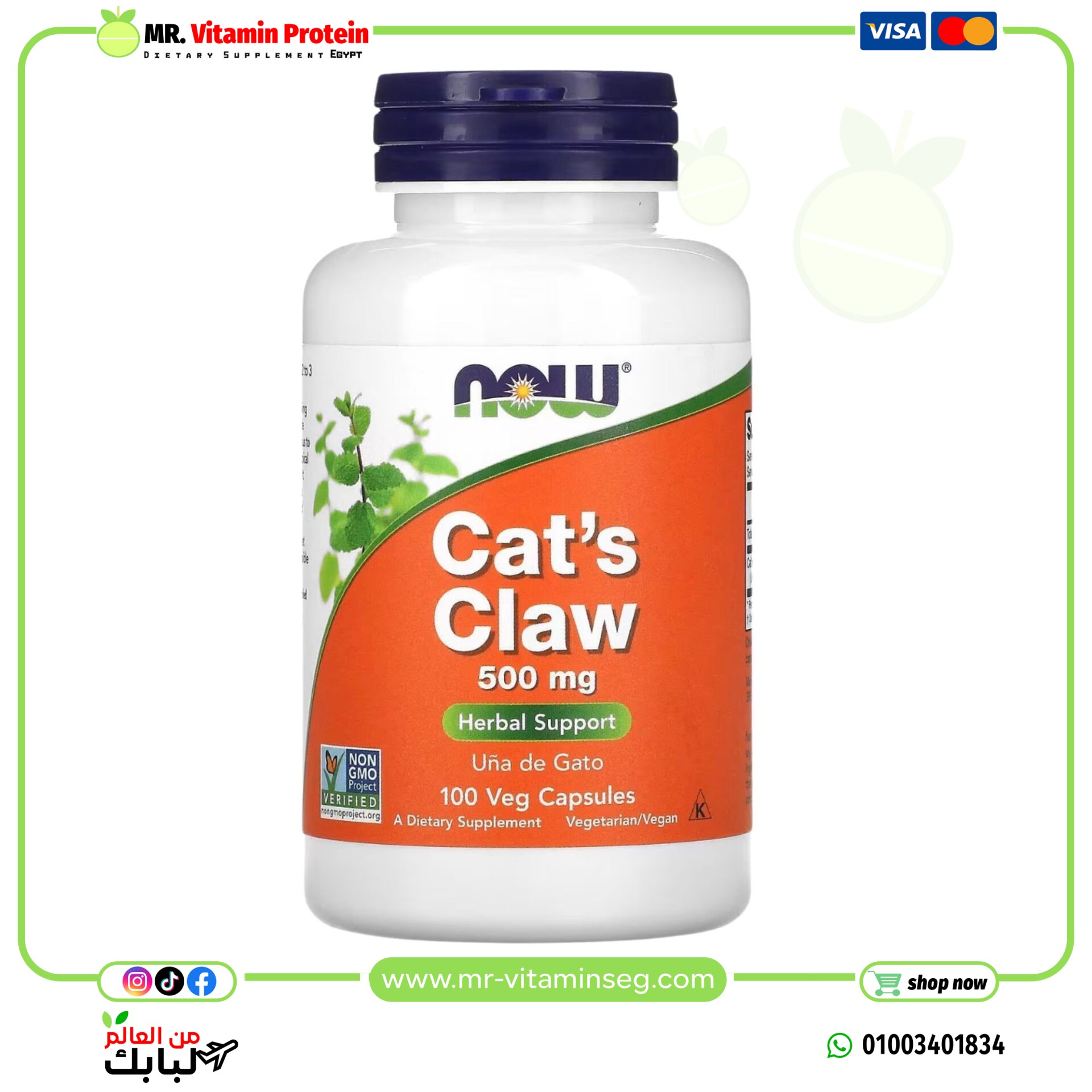 NOW Foods, Cat's Claw, 500 mg, 100 Veg Capsules