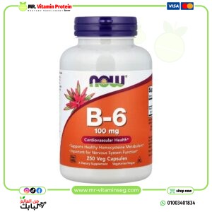 كبسولات فيتامين ب6، 100ملجم، 250 كبسولة نباتيه / NOW Foods, B6, 100