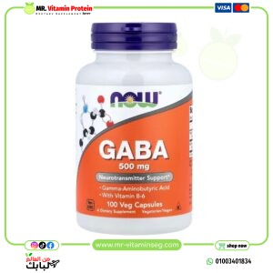 NOW Foods, GABA with Vitamin B-6, 500 mg, 100 Veg Capsules