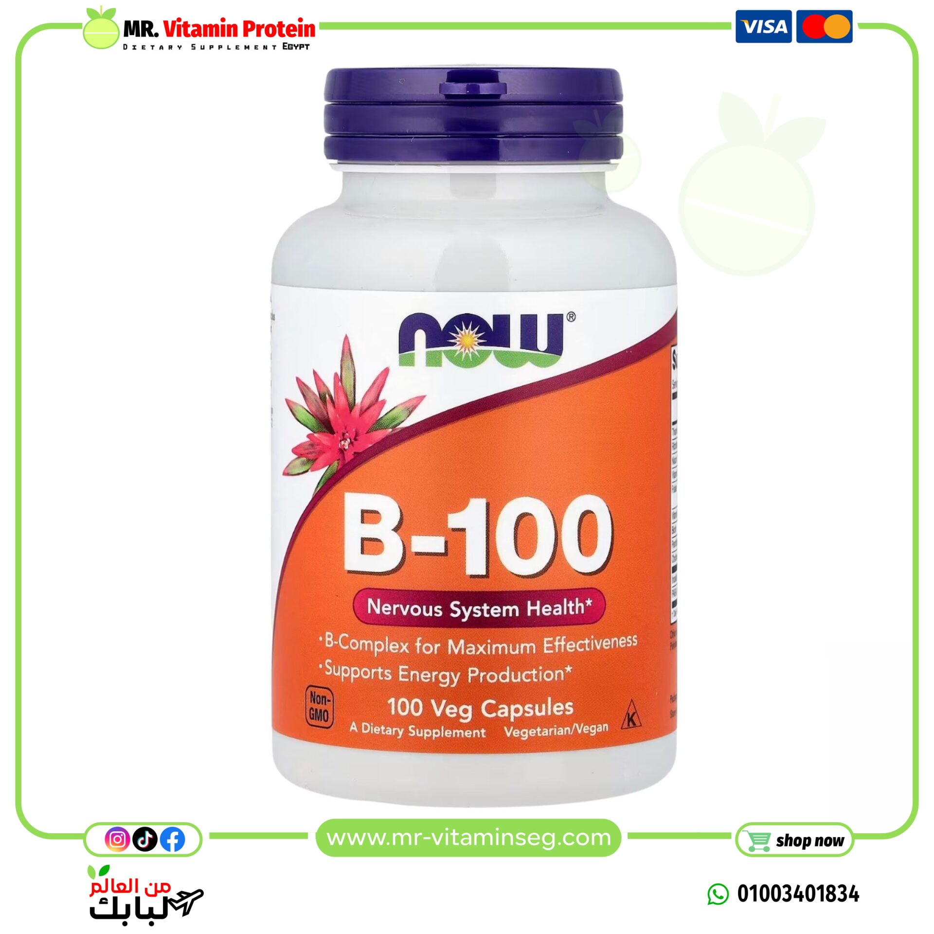 NOW Foods, B-100, 100 Veg Capsules