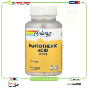 Solaray, Pantothenic Acid, 500 mg, 100 VegCaps