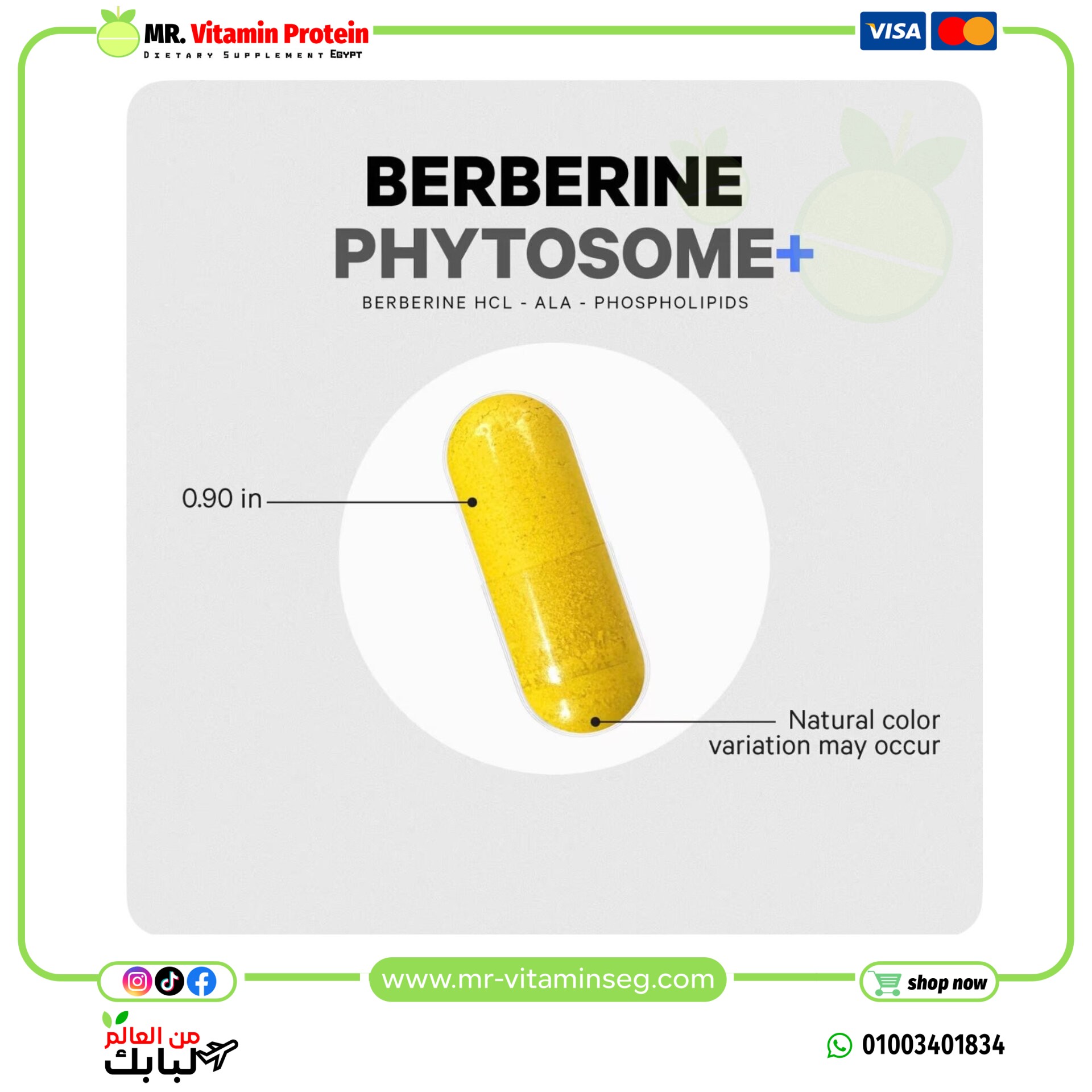 كودج, فيتوسوم البربرين +تركيز 500ملجم ، 60 كبسولة نباتية / Codeage, Berberine Phytosome+ - الصورة 4