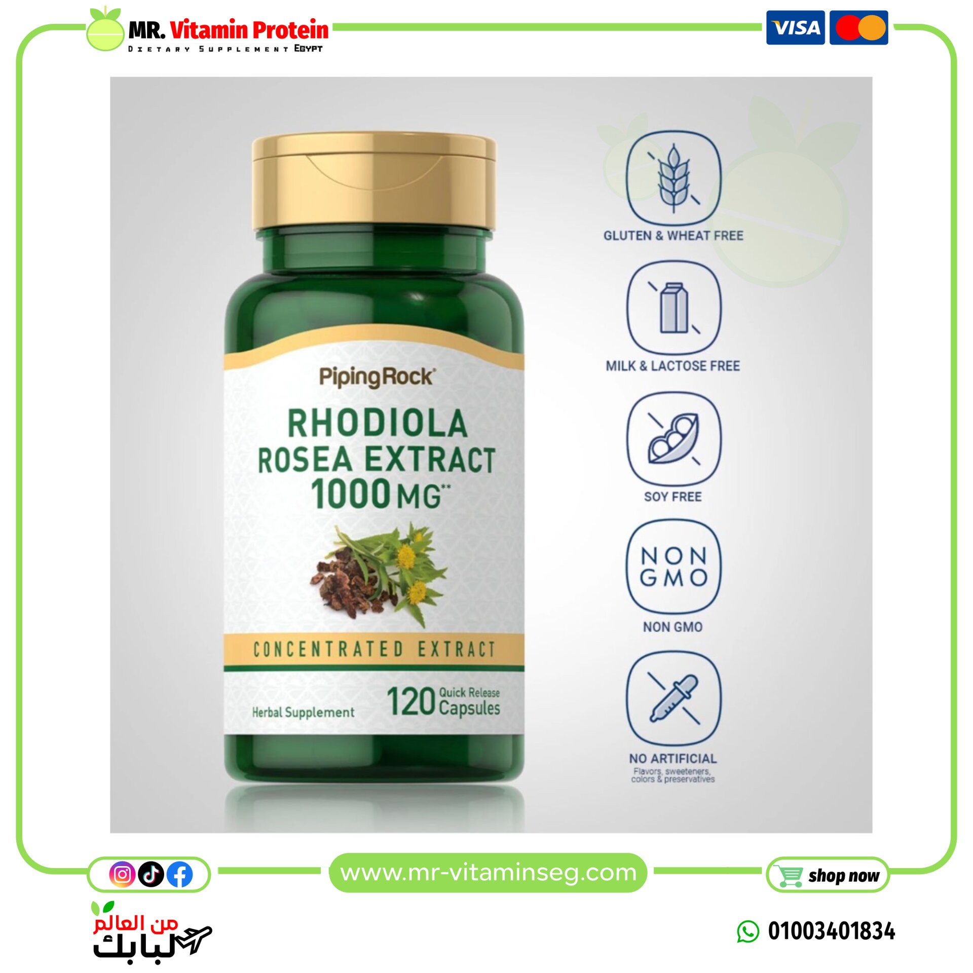 بايبينج روك، رهوديولا روزيا، 1000 مجم، 120 كبسولة / Piping Rock, Rhodiola Rosea, 1000 mg - الصورة 2